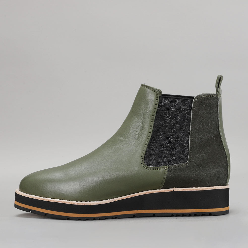 Sting - DK Olive Pony - LE SANSA