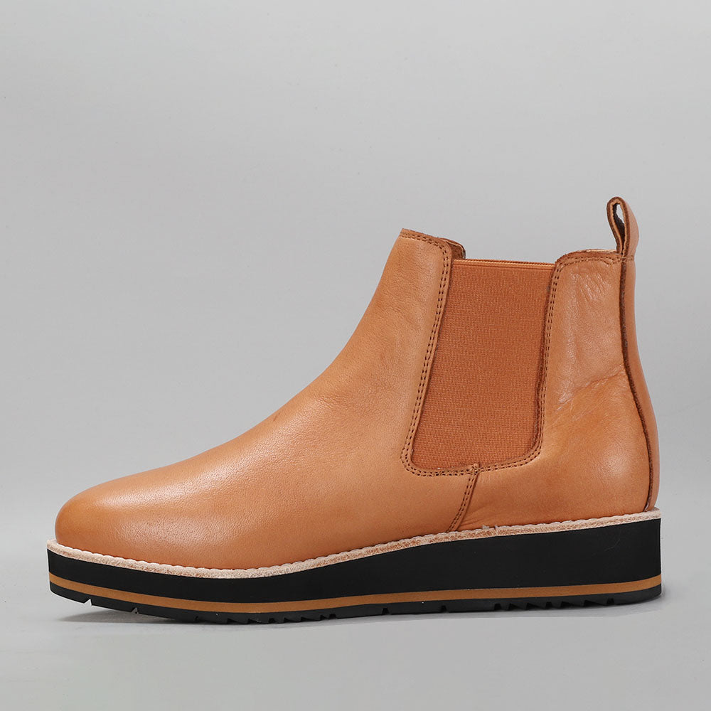 Sting - Tan - LE SANSA