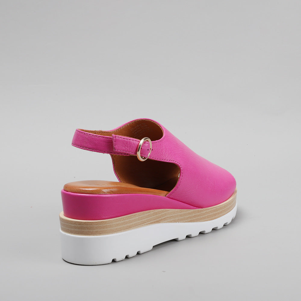 Thunder - Hot Pink - LE SANSA