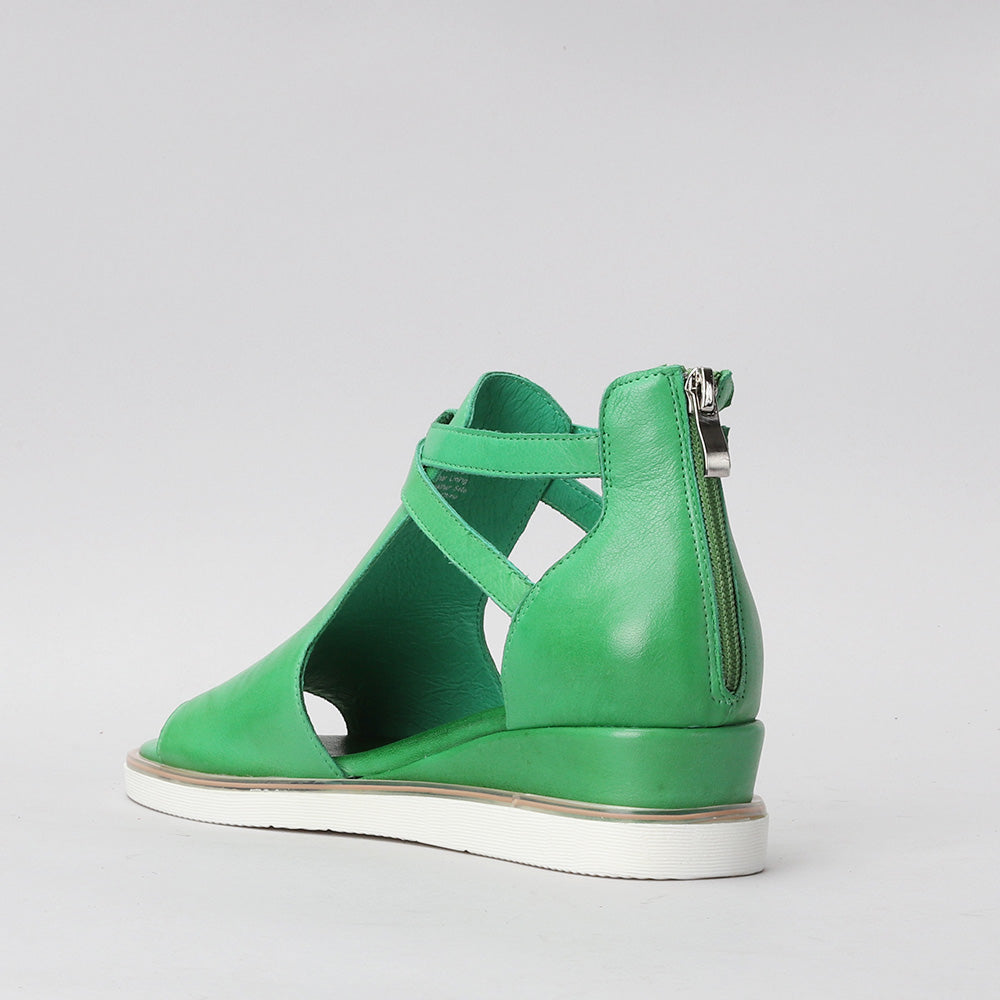 Tod - Fern Green - LE SANSA