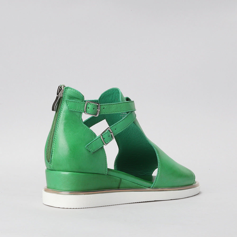 Tod - Fern Green - LE SANSA