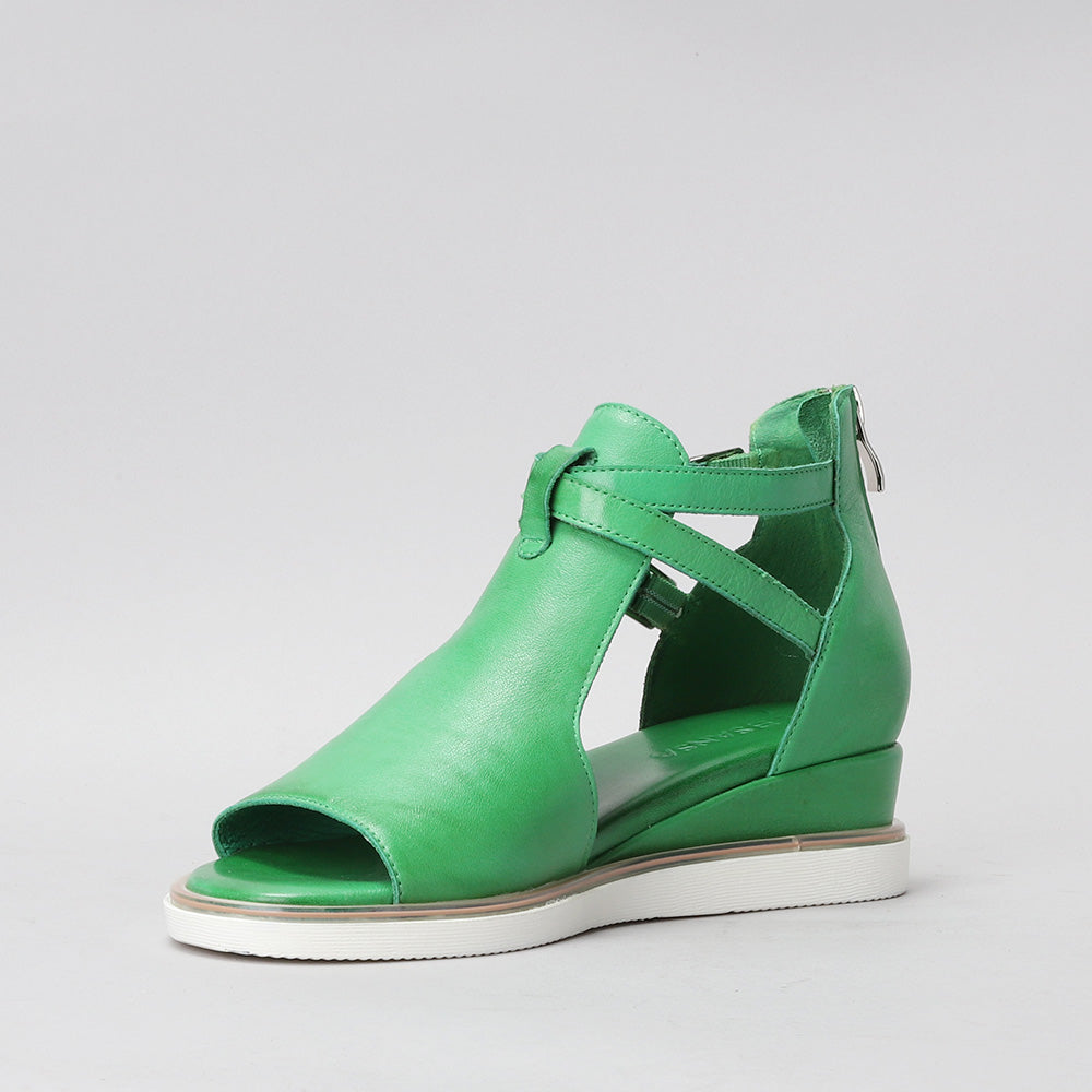 Tod - Fern Green - LE SANSA