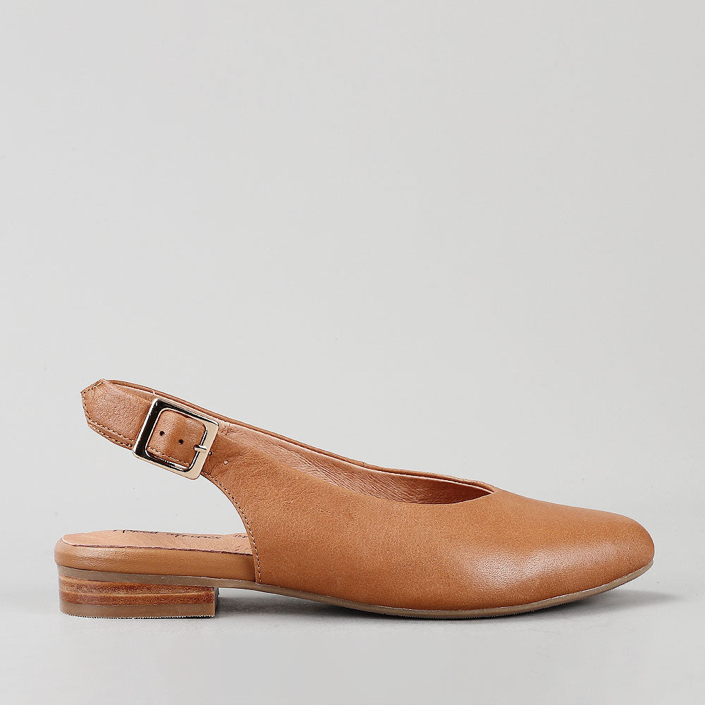 Zodiac - New Natur - Naked Arches