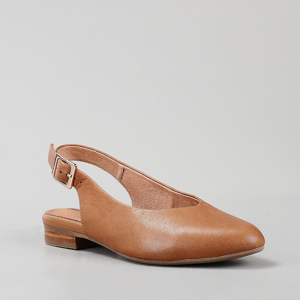 Zodiac - New Natur - Naked Arches