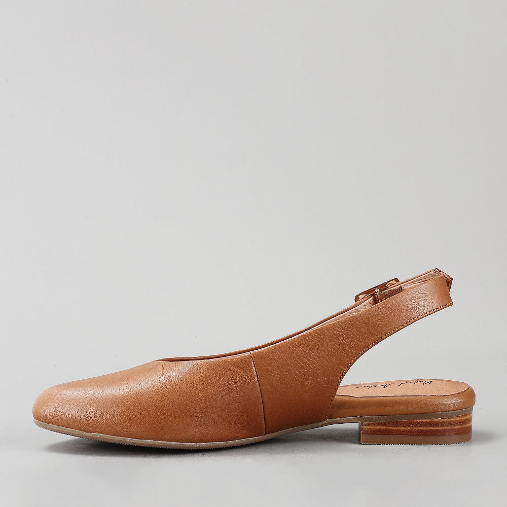 Zodiac - New Natur - Naked Arches