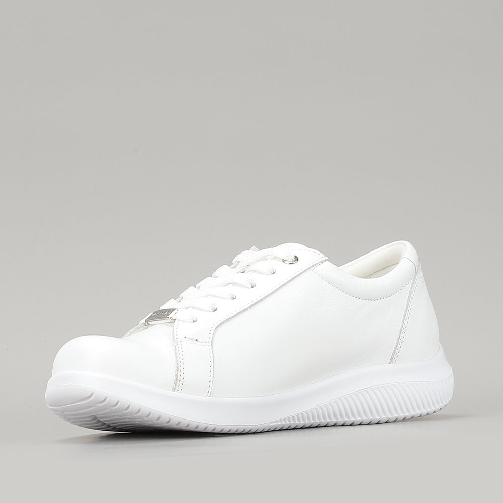 Avi 2.0 - White - NAKED ARCHES