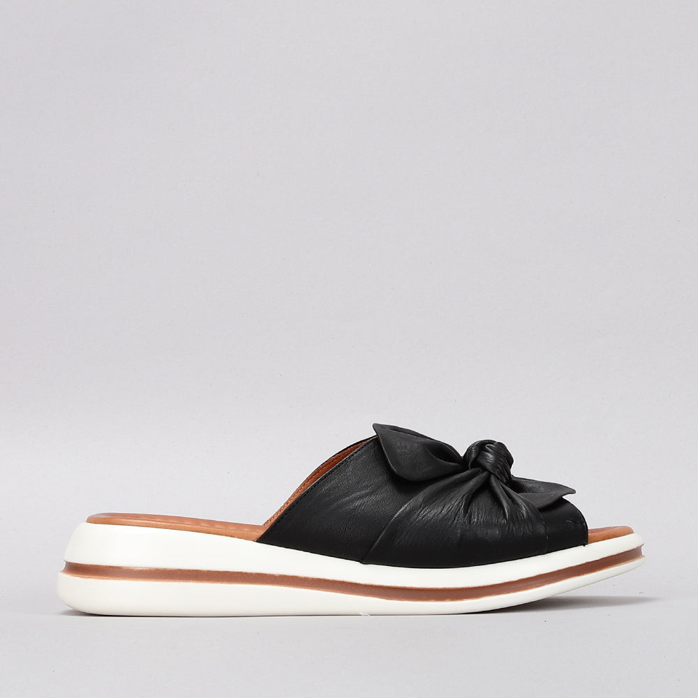 Salsa - Black