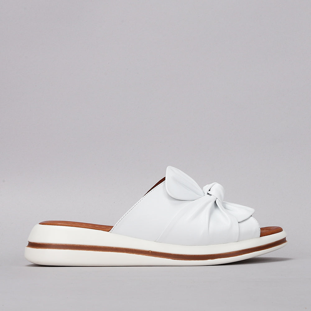 Salsa - White