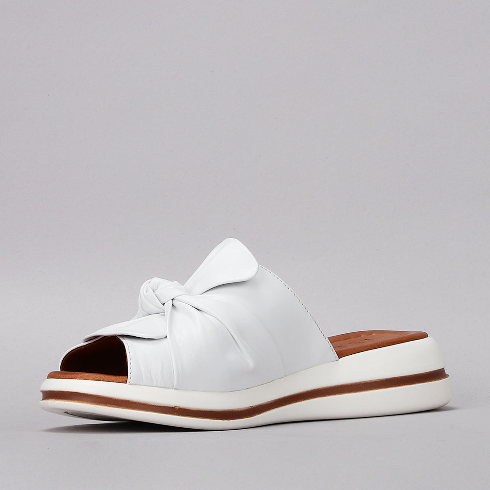 Salsa - White