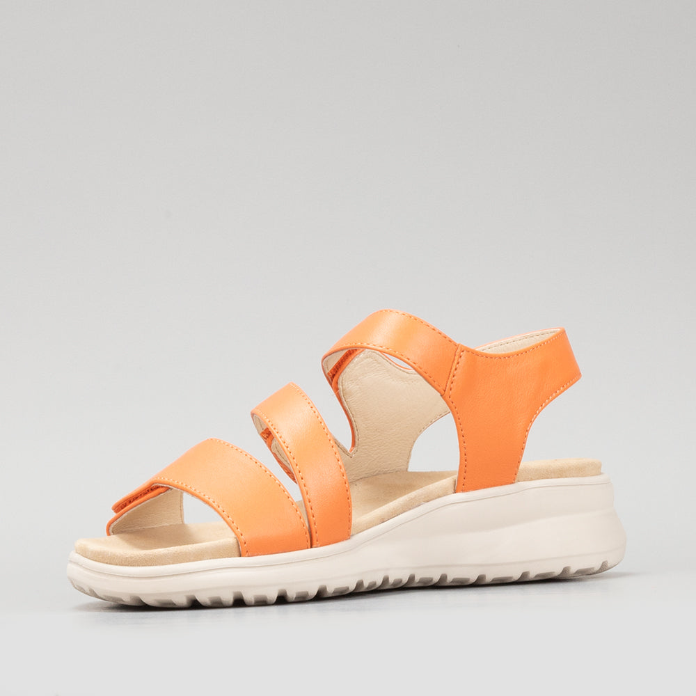 Punia - Sunburn Orange