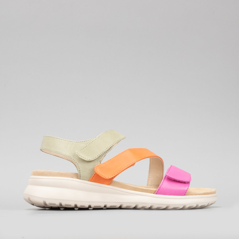 Punia - Fuschia/Lt Khaki