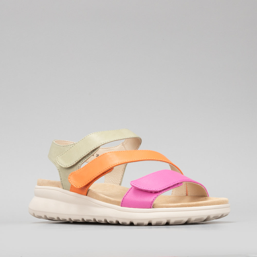 Punia - Fuschia/Lt Khaki