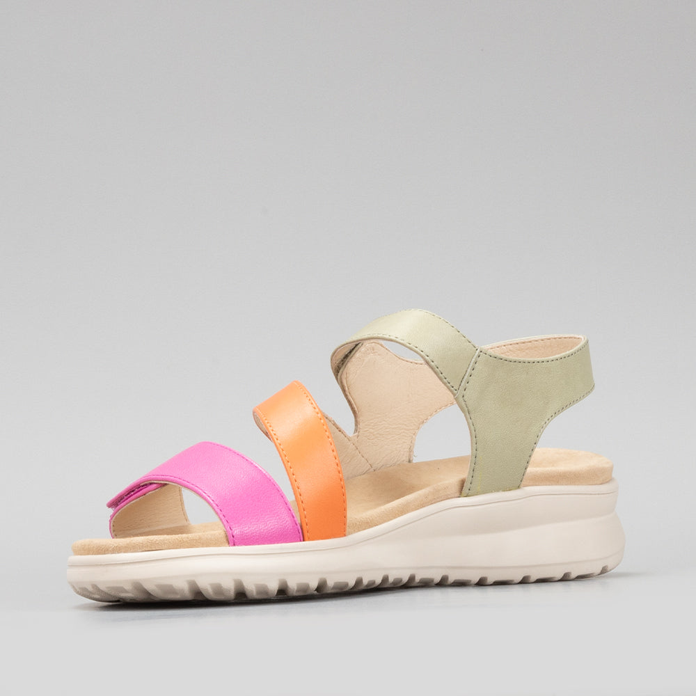 Punia - Fuschia/Lt Khaki