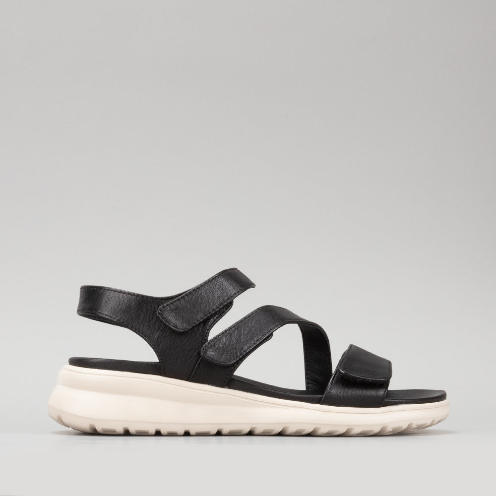Punia - Black