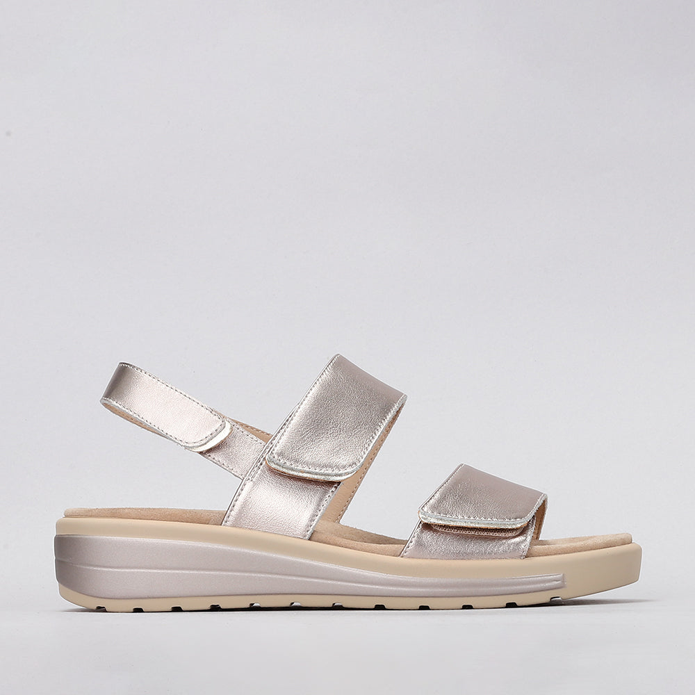 Hanza - Champagne/Soft Gold | Le Sansa