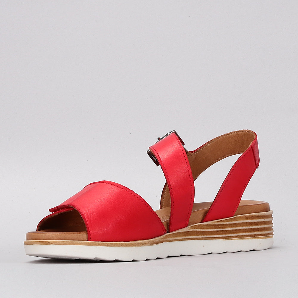 Marlon - Red