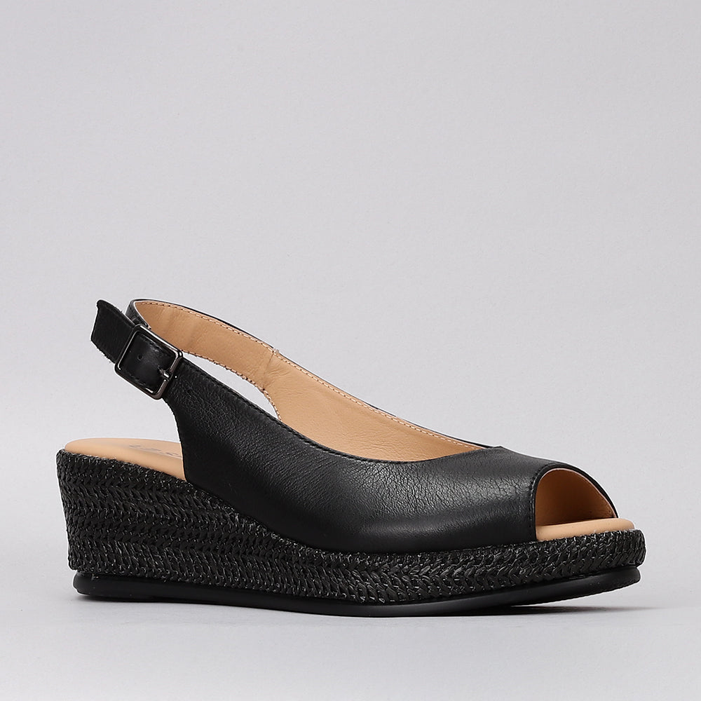 Petunia - Black