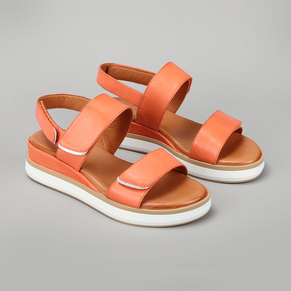 Holly - Orange