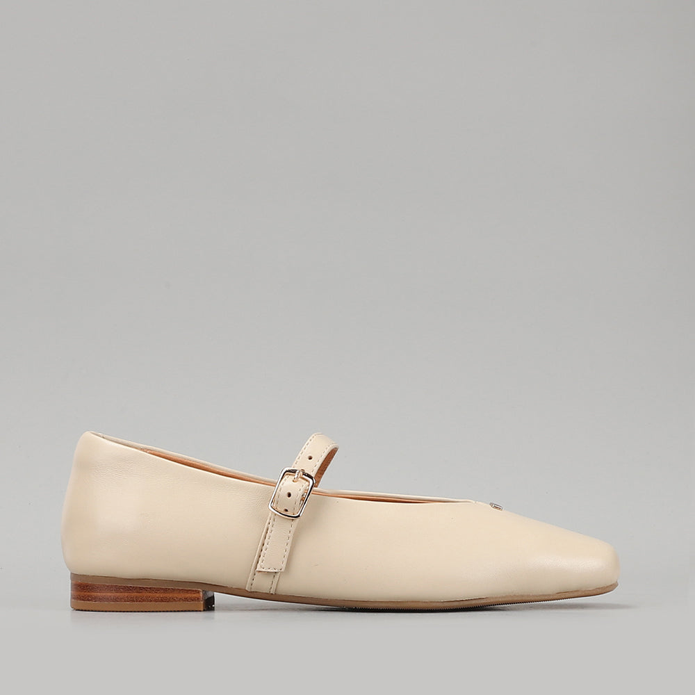 Olly - Ivory