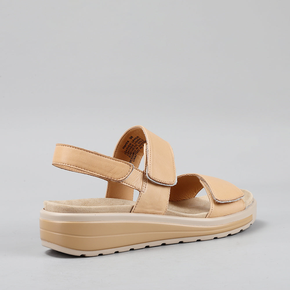 Hanza - Scissors/Soft Gold - Naked Arches