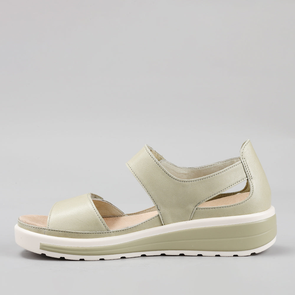 Happy - Lt Khaki - Naked Arches