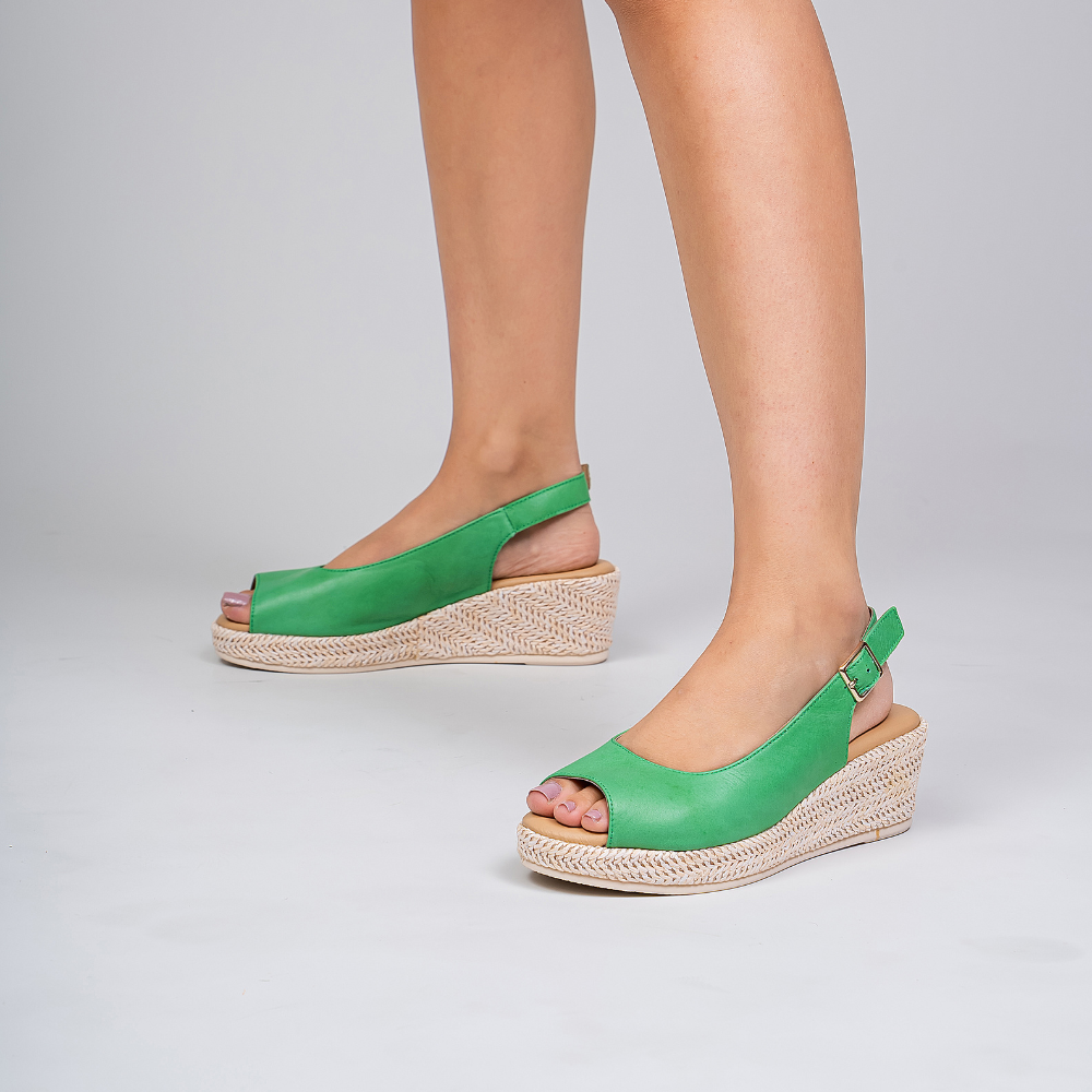 Petunia - Fern Green