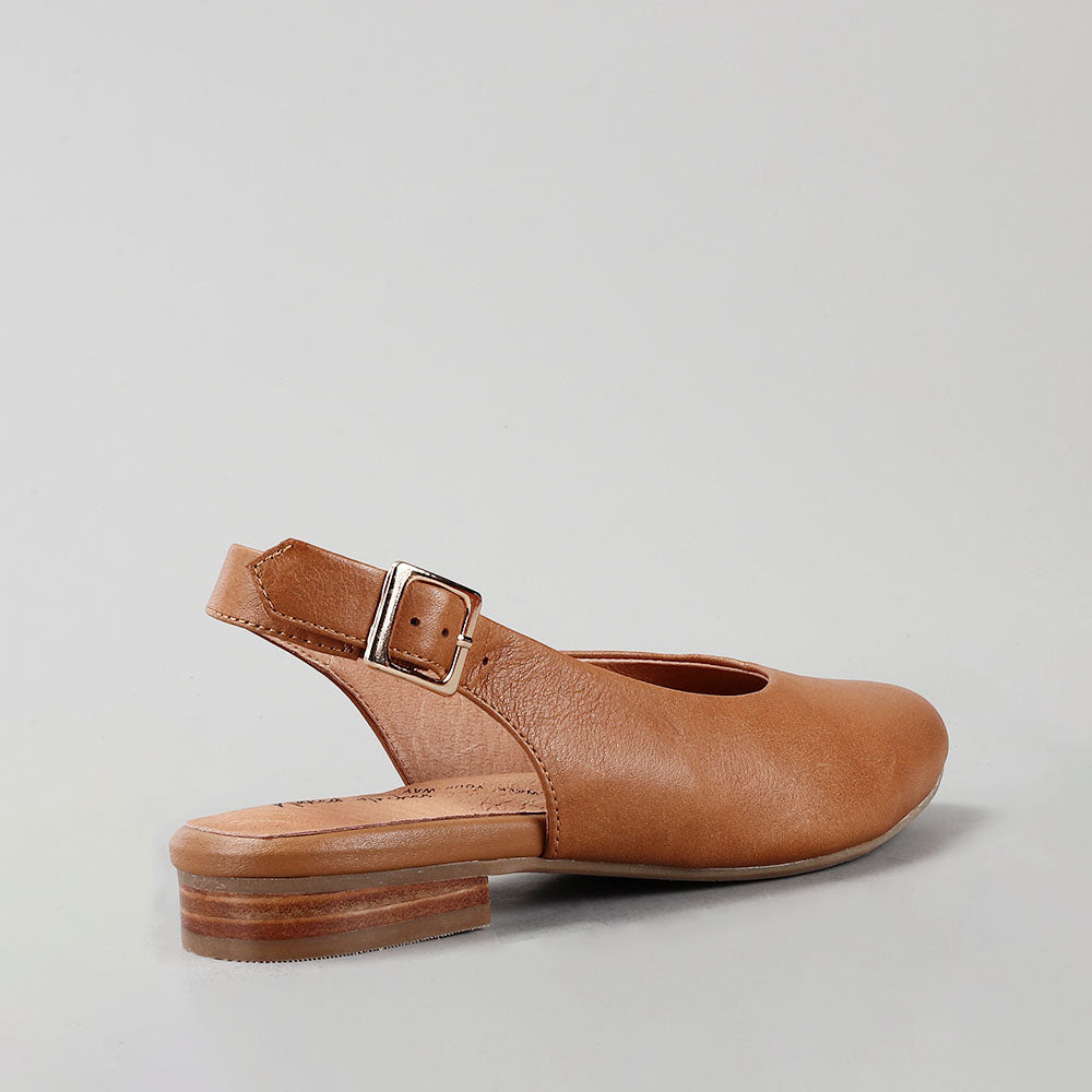 Zodiac - New Natur - Naked Arches